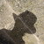 ImageoftheCreator :iconimageofthecreator: