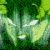 Imako-the-Demon-Wolf :iconimako-the-demon-wolf: