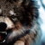 immoRtaLSofi :iconimmortalsofi: