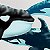 DeviantArt profile picture for @imperative on DeviantArt