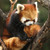 DeviantArt profile picture for @Indices on DeviantArt