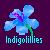 IndigoLillies :iconindigolillies: