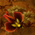 IndigoNebula :iconindigonebula: