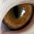 DeviantArt profile picture for @Inhabit on DeviantArt