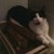 IreFantasy :iconirefantasy: