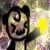 iretardedpanda :iconiretardedpanda: