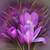 Irina469 :iconirina469: