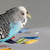 irsx :iconirsx: