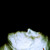 iskallvinter :iconiskallvinter: