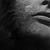 IT3r4sI :iconit3r4si: