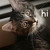 Itsmemira :iconitsmemira: