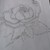 ivelz :iconivelz: