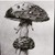 Iverstone :iconiverstone: