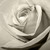 Ivory-Elegance :iconivory-elegance: