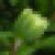 DeviantArt profile picture for @jabu on DeviantArt