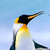 jaccan :iconjaccan: