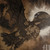 jackals-taunt :iconjackals-taunt: