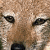 jackel15 :iconjackel15: