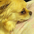 JacklynEve :iconjacklyneve: