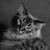 Jadefeather25 :iconjadefeather25: