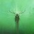 jadesky306 :iconjadesky306: