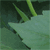 DeviantArt profile picture for @jailbird on DeviantArt