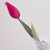 :iconjameelah05: