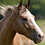 jamieleighphotografy :iconjamieleighphotografy: