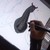 JamOut86 :iconjamout86: