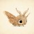 JaneR5019 :iconjaner5019: