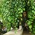 Jaxin88 :iconjaxin88: