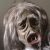 jaycib :iconjaycib: