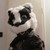 JazzBadger :iconjazzbadger: