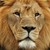 jbot-photography :iconjbot-photography:
