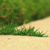 jc-ashleigh :iconjc-ashleigh: