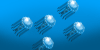 Jellyfish-Love's avatar