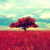 JennSomerhalder :iconjennsomerhalder: