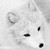 JennyTangen :iconjennytangen: