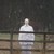 jesus-official :iconjesus-official:
