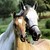 JESUSLOVER95 :iconjesuslover95: