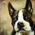 jevankelley :iconjevankelley: