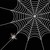 JewelSpider :iconjewelspider:
