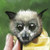 jewelsteel :iconjewelsteel: