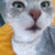 JiLLy-Bee :iconjilly-bee: