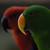 jim-tobin :iconjim-tobin: