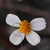 jimbooliver :iconjimbooliver: