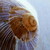 JLPIX :iconjlpix:
