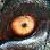 Jnrodriguezz :iconjnrodriguezz:
