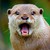 joaovfo :iconjoaovfo: