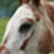DeviantArt profile picture for @jockeys on DeviantArt